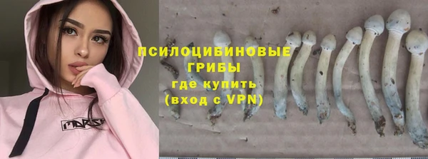 mix Алексин
