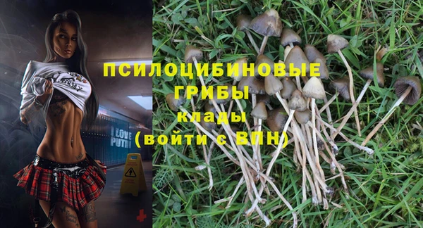 mix Алексин