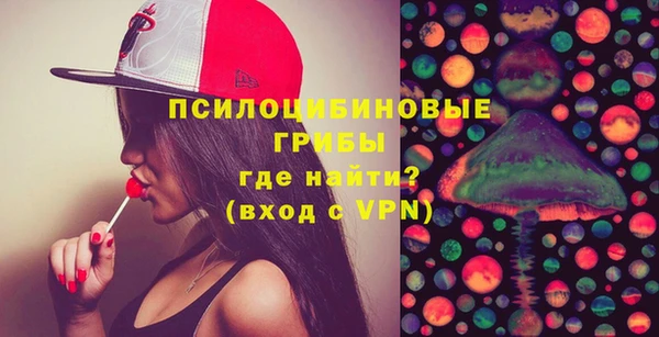 молекула духа Алексеевка