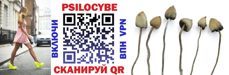 Псилоцибиновые грибы мухоморы Дегтярск